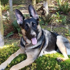 Meet your Posher, Summer